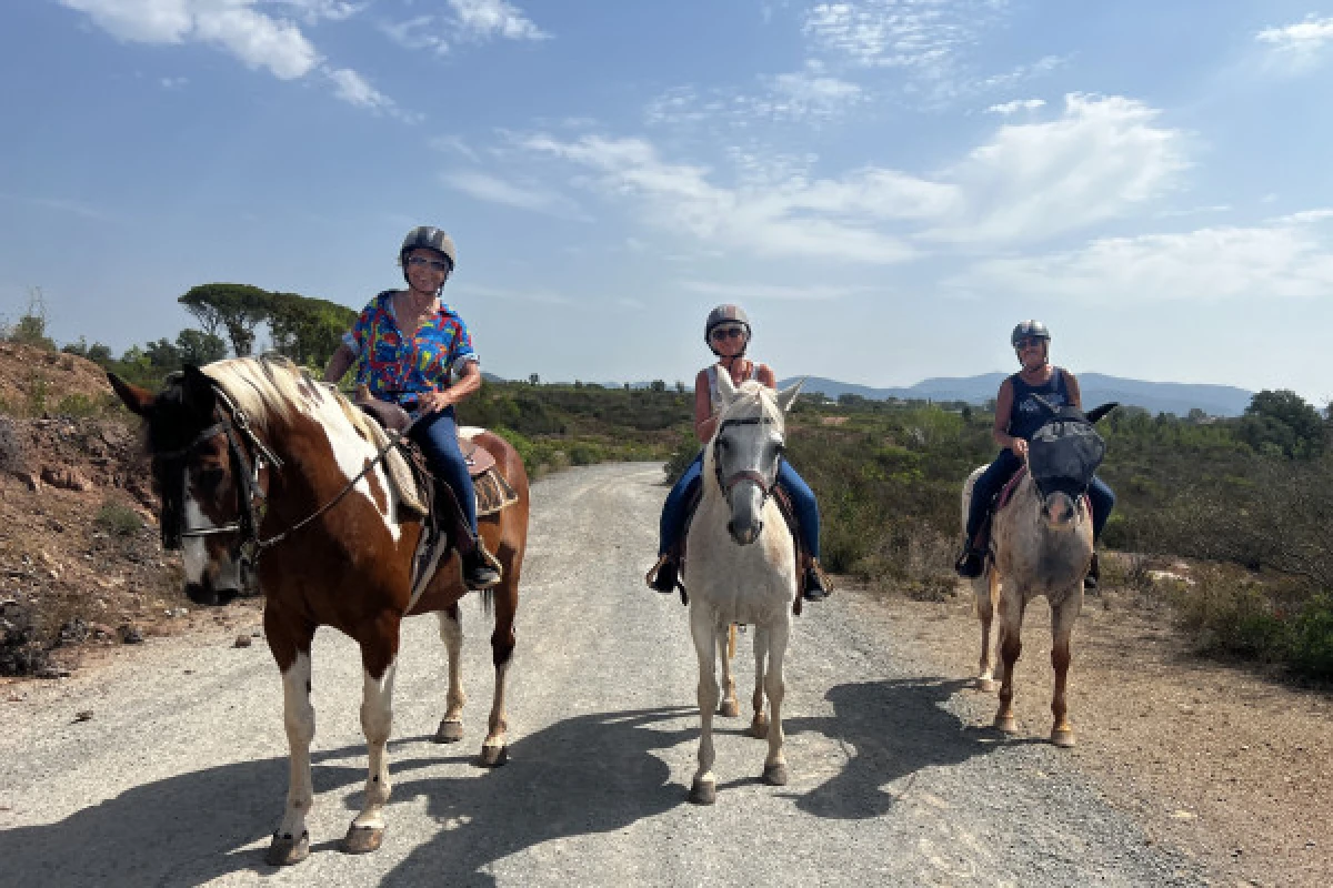 2h de balade à cheval dans le massif de l'Esterel - PROMO - Expérience Côte d'Azur