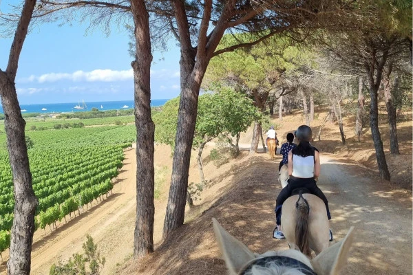Balade à cheval et dégustation de vins à Ramatuelle - Expérience Côte d'Azur