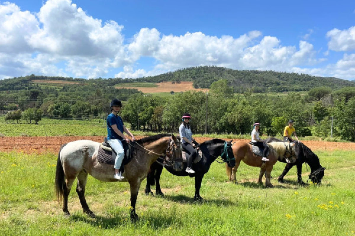 PROMO - Balade à cheval et dégustation de vins à Grimaud - Expérience Côte d'Azur