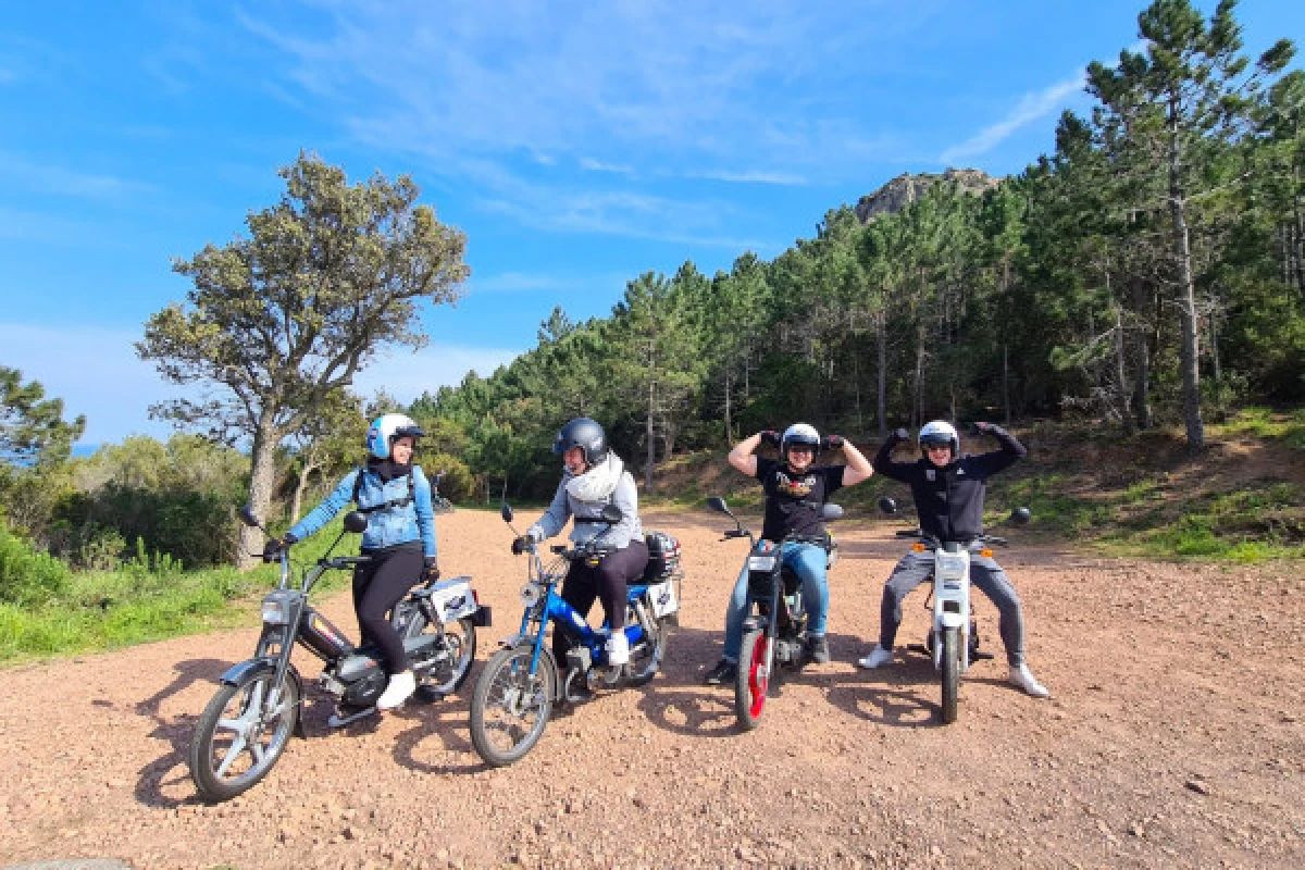 Balade accompagnée en mobylette Vintage  1h30 ou 2h30 - Saint Raphaël - Expérience Côte d'Azur