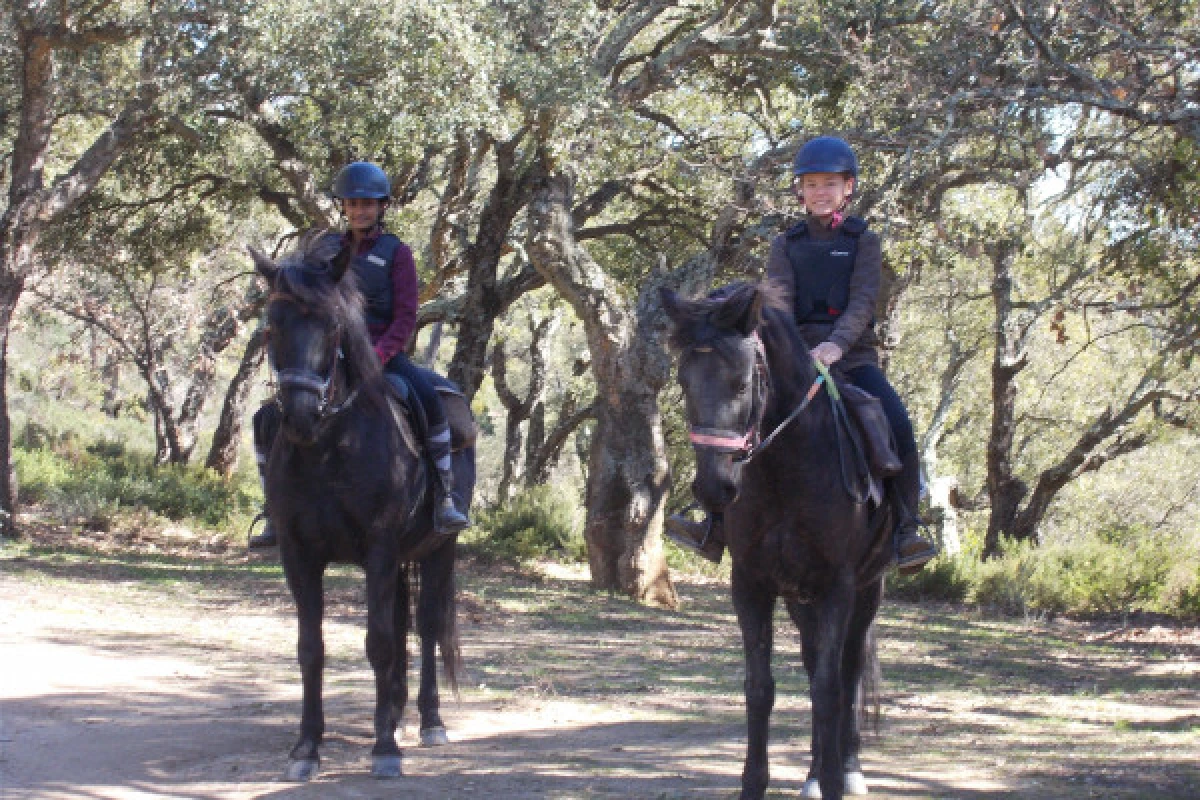 Balade demi-journée à cheval au lac St Cassien - Expérience Côte d'Azur