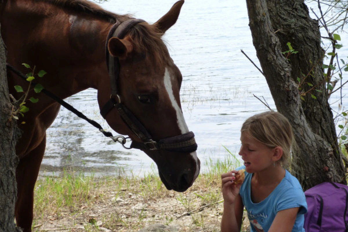 Balade à cheval - Lac de Saint-Cassien - Expérience Côte d'Azur