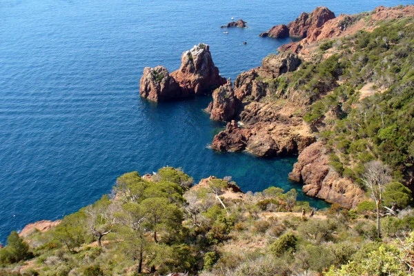Balade naturaliste du Dramont - Expérience Côte d'Azur