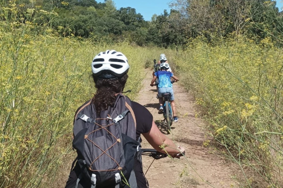 Balade vinicole en VTT éléctrique - au coeur de l'Estérel - Expérience Côte d'Azur