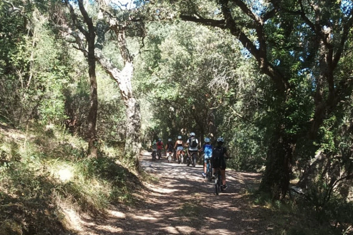 Balade vinicole en VTT éléctrique - au coeur de l'Estérel - Expérience Côte d'Azur