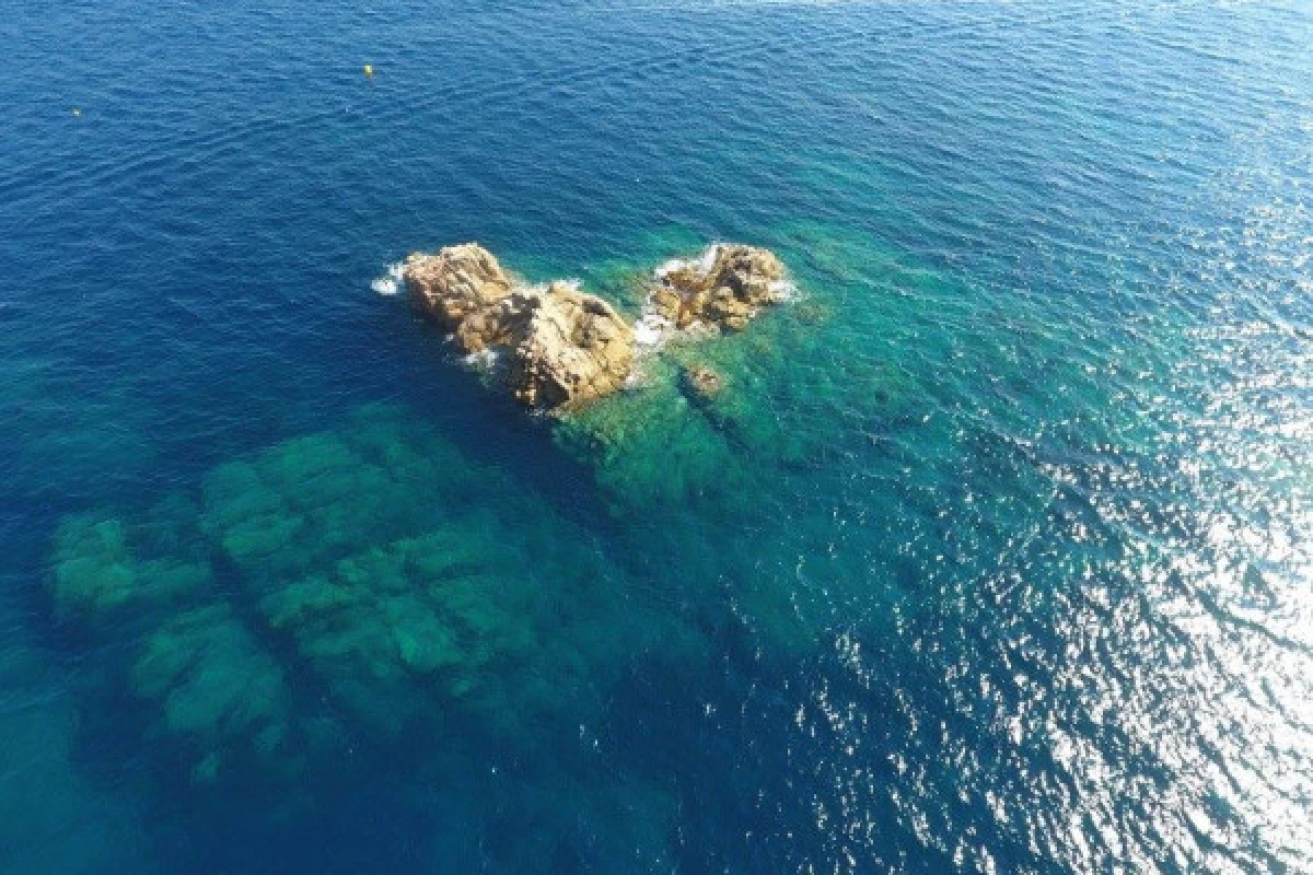 Baptême de plongée Bateau Hyères (Regiondo) - Expérience Côte d'Azur