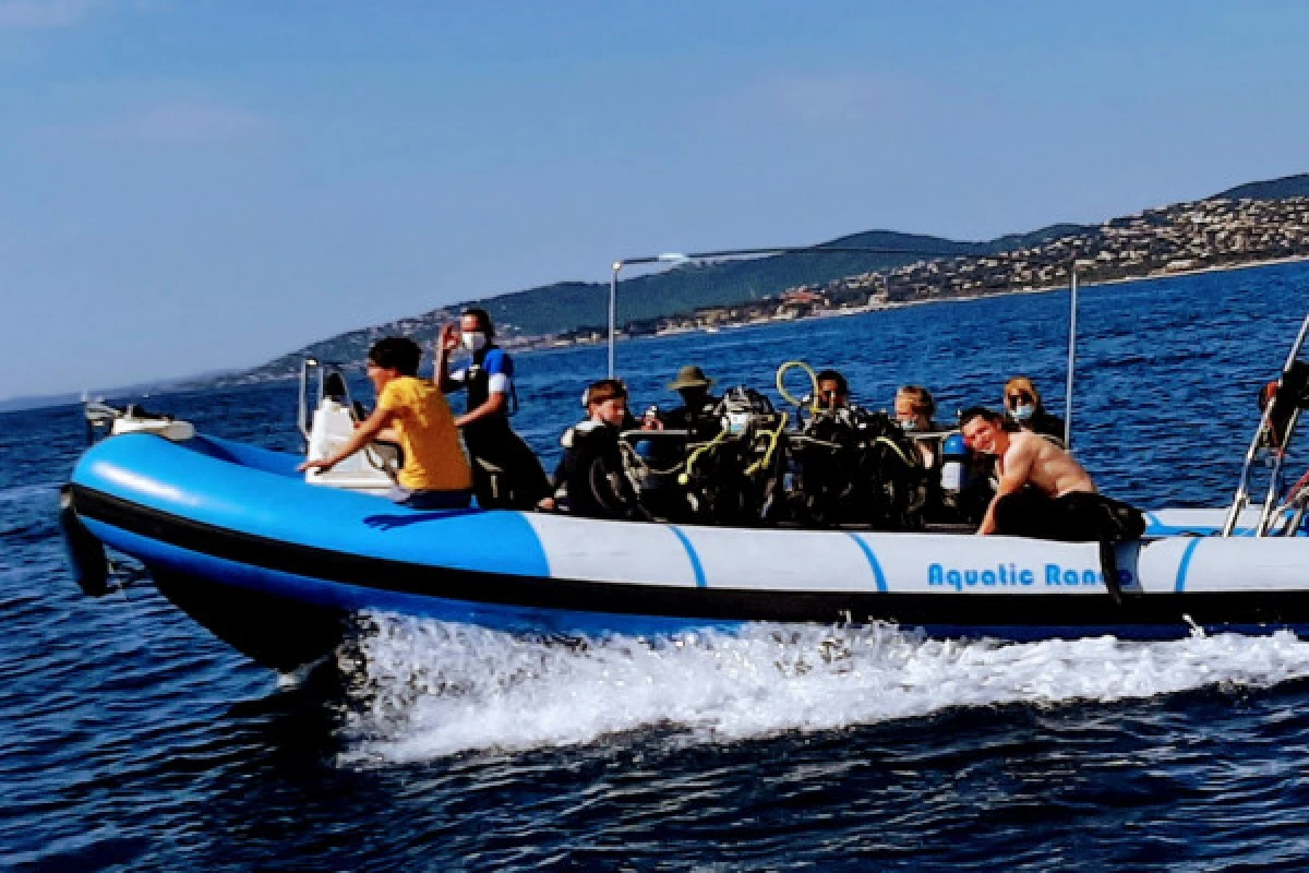 Baptême de plongée de Port Fréjus - Expérience Côte d'Azur