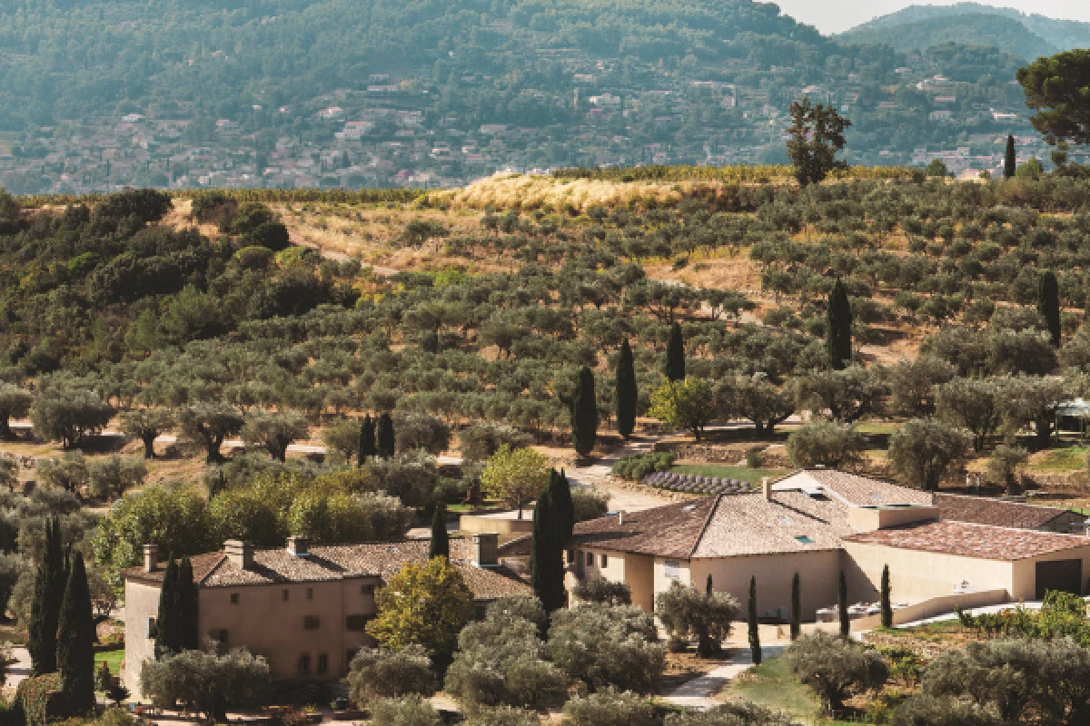 Circuit viticole à Bandol depuis Saint Tropez - Expérience Côte d'Azur