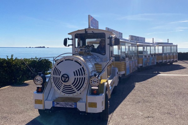 Petits trains touristiques : des aides pour passer à l'électrique