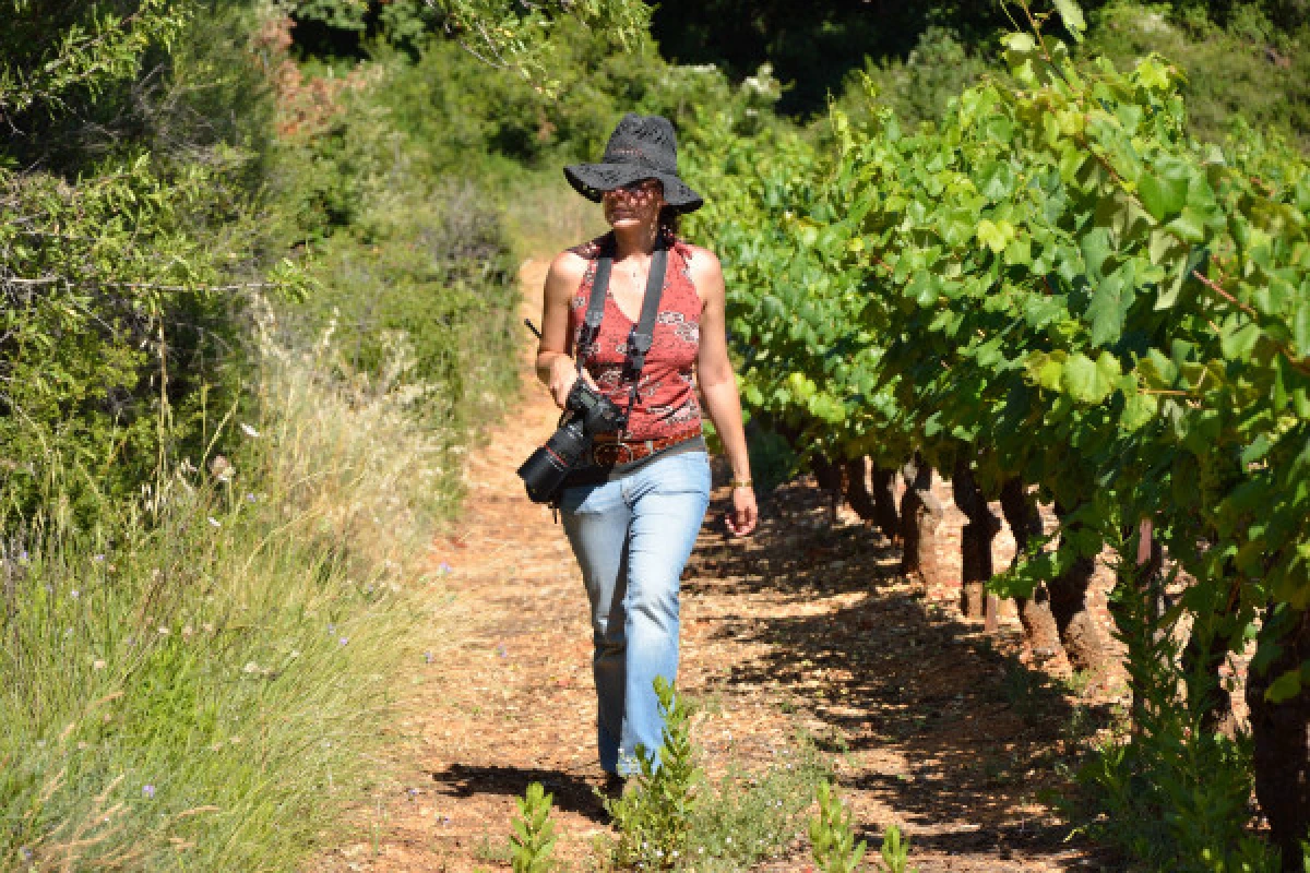 Côte d'Azur Wine Tour - Journée - Privé - Expérience Côte d'Azur