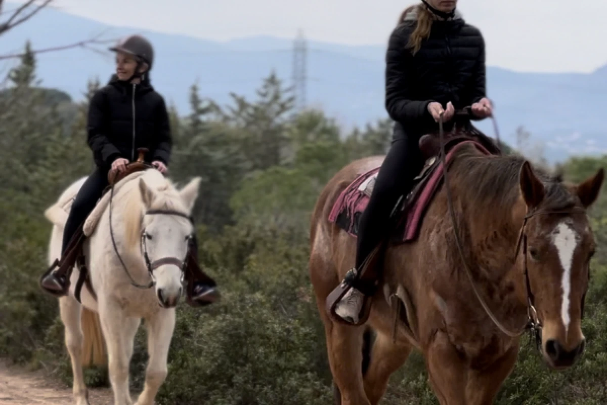 Coucher de soleil à cheval au pied du Massif de l’Estérel - Expérience Côte d'Azur