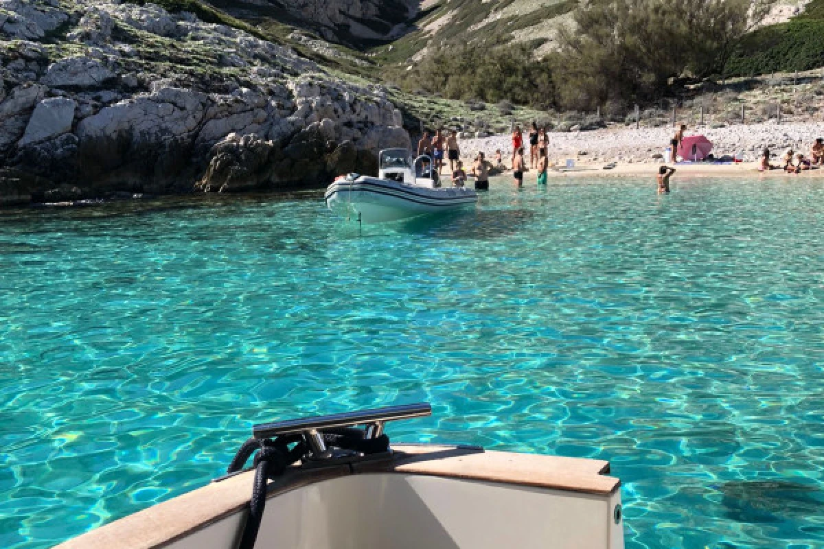 Croisière baignade Parc National des Calanques en demi-journée - Vieux Port CNTL - Expérience Côte d'Azur