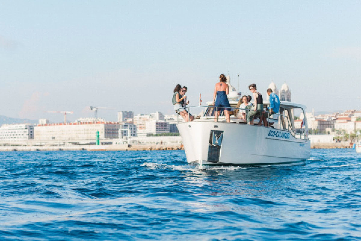 Croisière dans le Parc National des Calanques en demi-journée - Vieux Port Mairie - Expérience Côte d'Azur