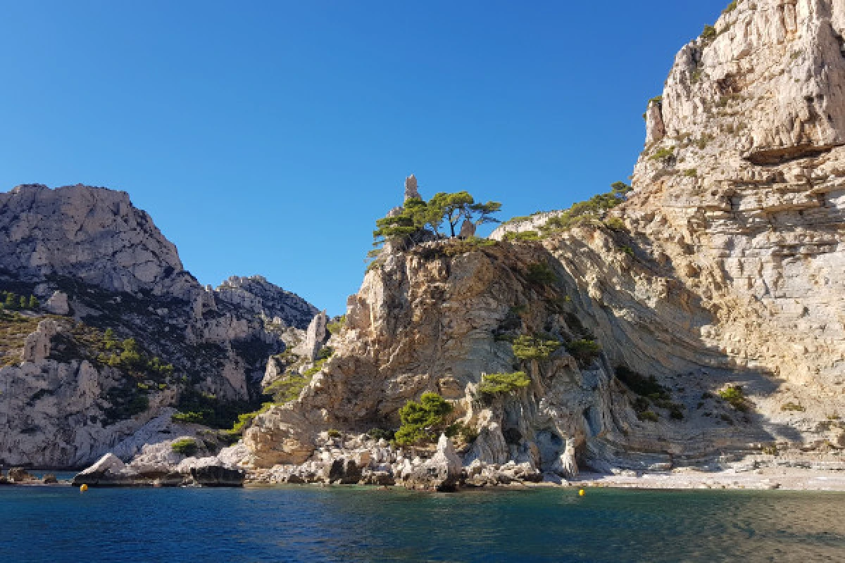 Croisière dans le Parc National des Calanques en journée - Vieux-Port CNTL - Expérience Côte d'Azur