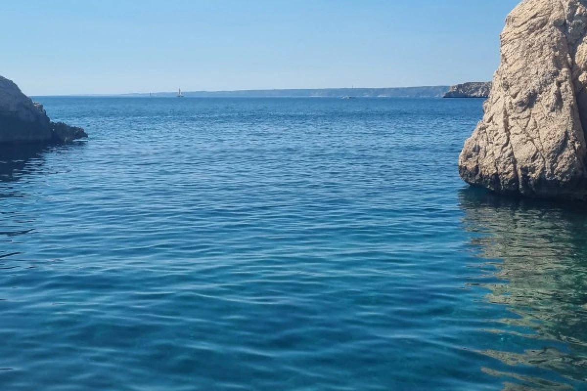 Croisière en après-midi, les Calanques secrètes du Parc marin de la Côte Bleue - MUCEM - Expérience Côte d'Azur