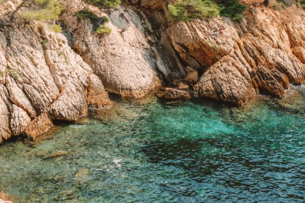 Croisière en après-midi, les Calanques secrètes du Parc marin de la Côte Bleue - Expérience Côte d'Azur