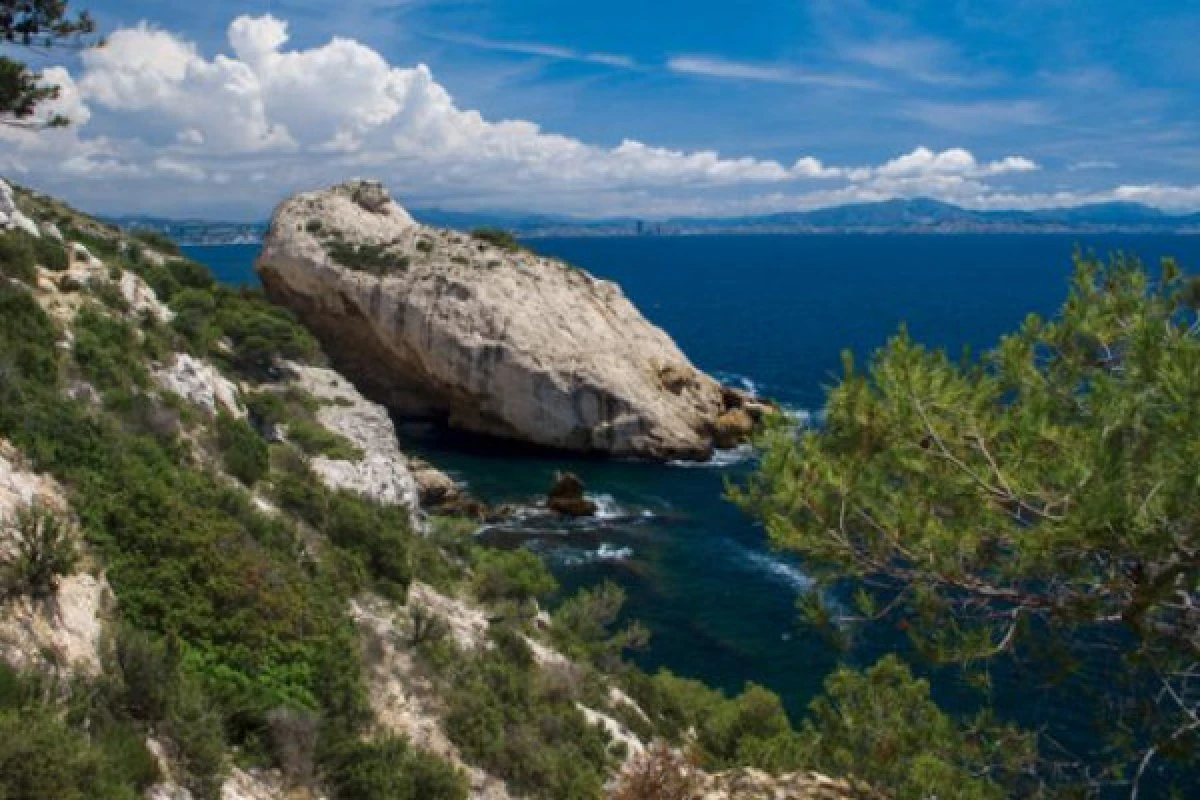 Croisière en après-midi, les Calanques secrètes du Parc marin de la Côte Bleue - Expérience Côte d'Azur