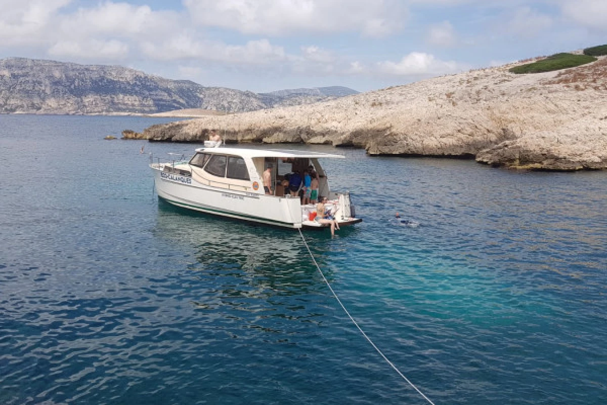 Croisière dans les calanques du Frioul avec café & baignade - Vieux Port Mairie - Expérience Côte d'Azur