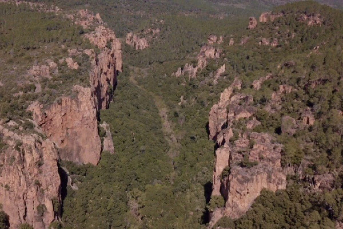 Découverte des Gorges du Blavet - Expérience Côte d'Azur