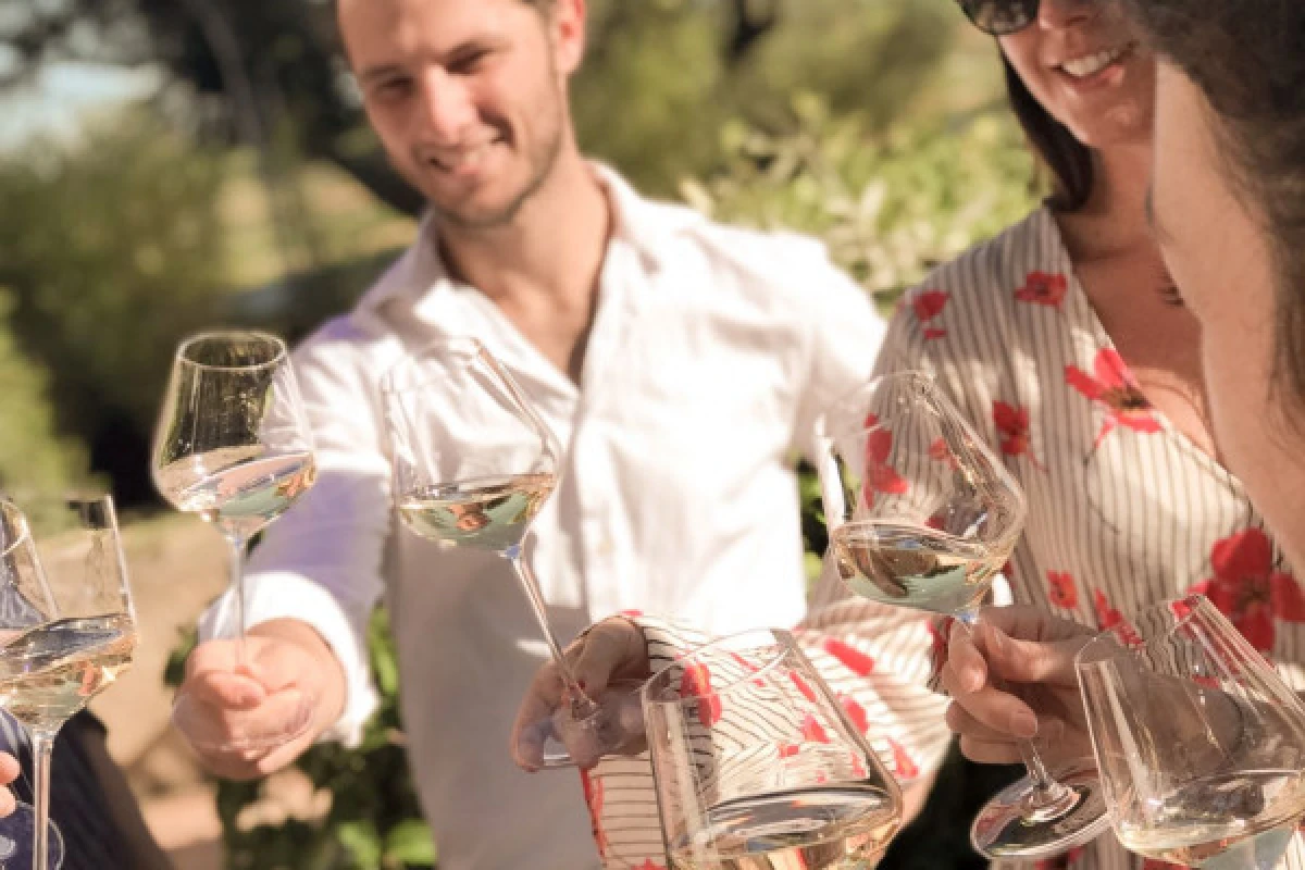 Dégustation découverte des Vins de Provence - Expérience Côte d'Azur