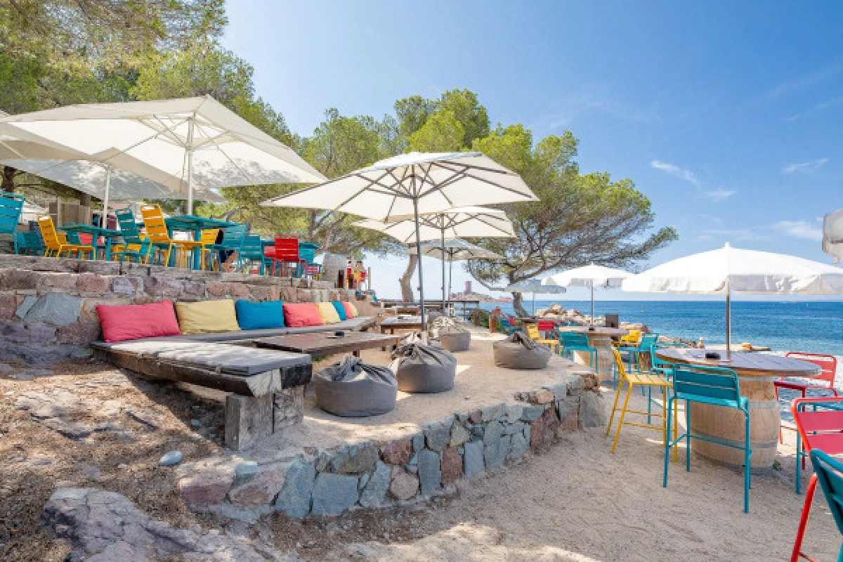 Déjeuner et détente sur la plage face à  l'île d'Or - Spécial CE - Expérience Côte d'Azur