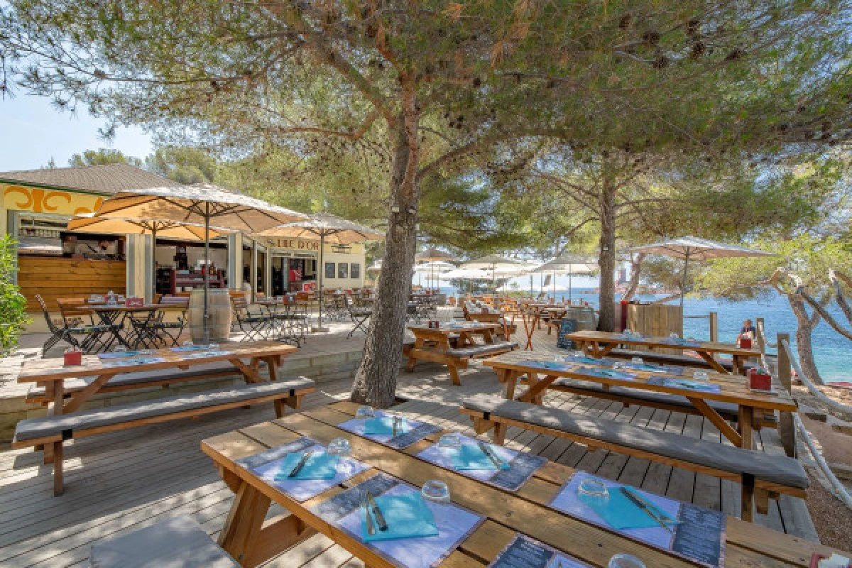 Déjeuner et détente sur la plage face à  l'île d'Or - Spécial CE - Expérience Côte d'Azur