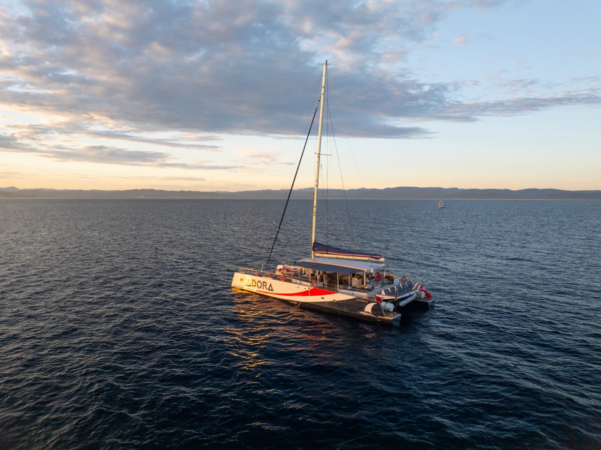 Catamaran départ Hyères - Soirée Dîner - Fort de Brégançon ou Porquerolles - Expérience Côte d'Azur