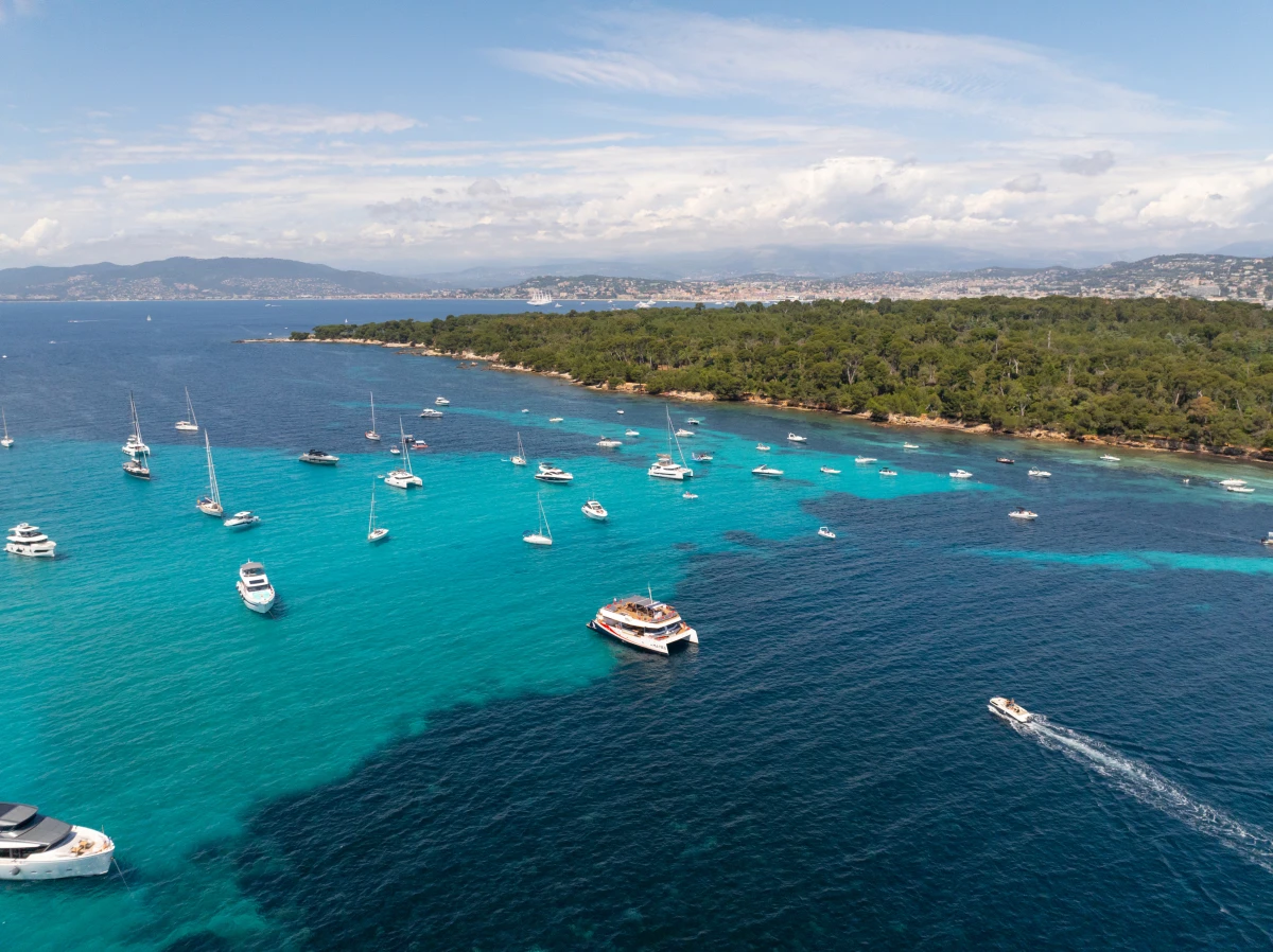 Sortie Catamaran journée - Départ Nice vers les Iles de Lérins - Expérience Côte d'Azur