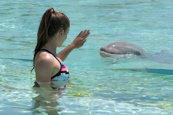 Entrée Marineland + Lagoon - PROMO - Expérience Côte d'Azur