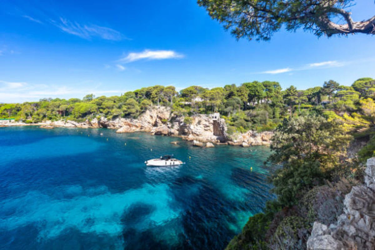 Excursion en mer semi rigide : Cannes & Antibes 3h30 - Expérience Côte d'Azur