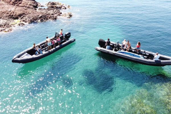 Excursion en mer semi-rigide  Cap d'Antibes - Expérience Côte d'Azur