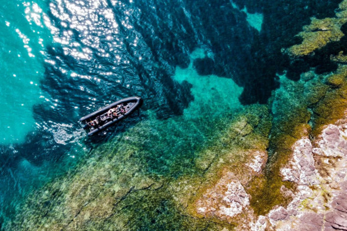 Excursion en mer - Estérel 2h30 - Expérience Côte d'Azur