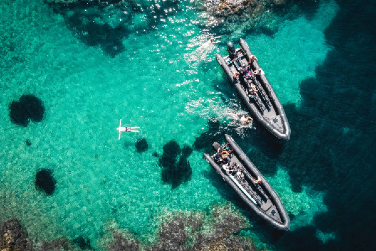 Excursion en mer - Estérel 2h30 - Expérience Côte d'Azur