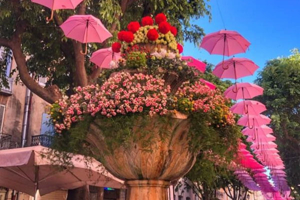 EXPO ROSE à Grasse - Excursion en Bus - Expérience Côte d'Azur