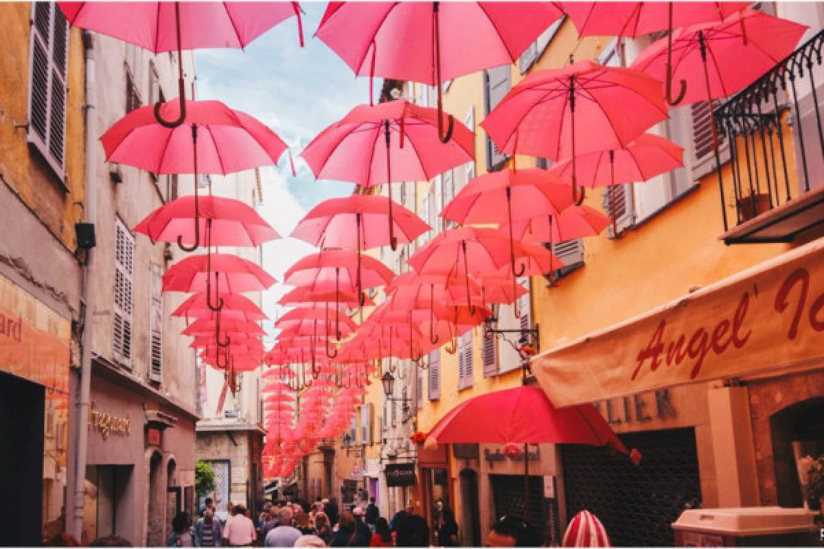 EXPO ROSE à Grasse - Excursion en Bus - Expérience Côte d'Azur