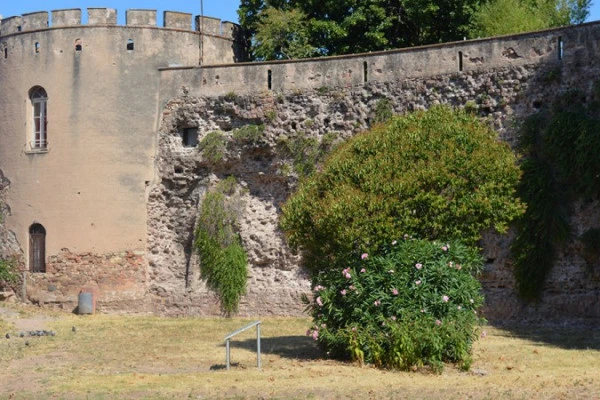 Guided tour "Provençal Pompeii" - Expérience Côte d'Azur