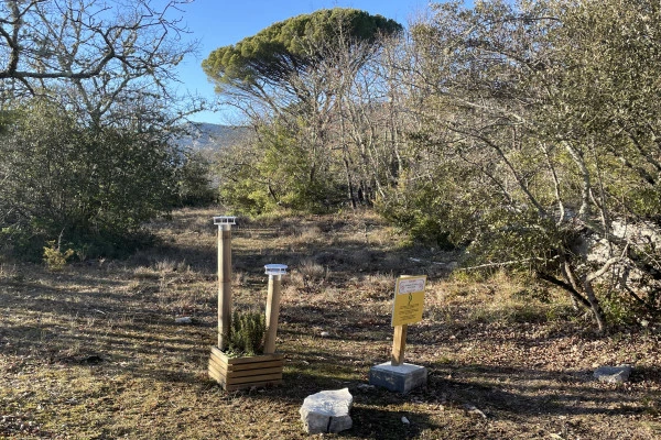  Jeu de piste des hauts de Baume Obscure - Expérience Côte d'Azur