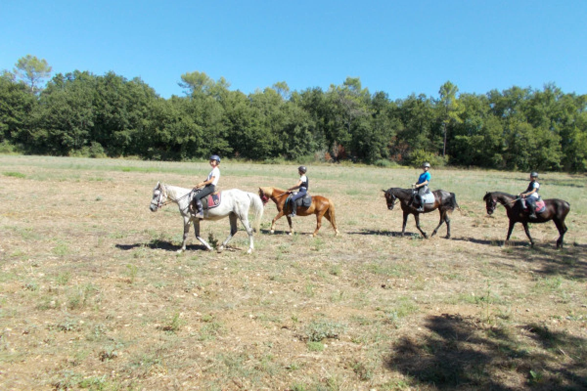 Journée détente à cheval ou poney au lac - Expérience Côte d'Azur