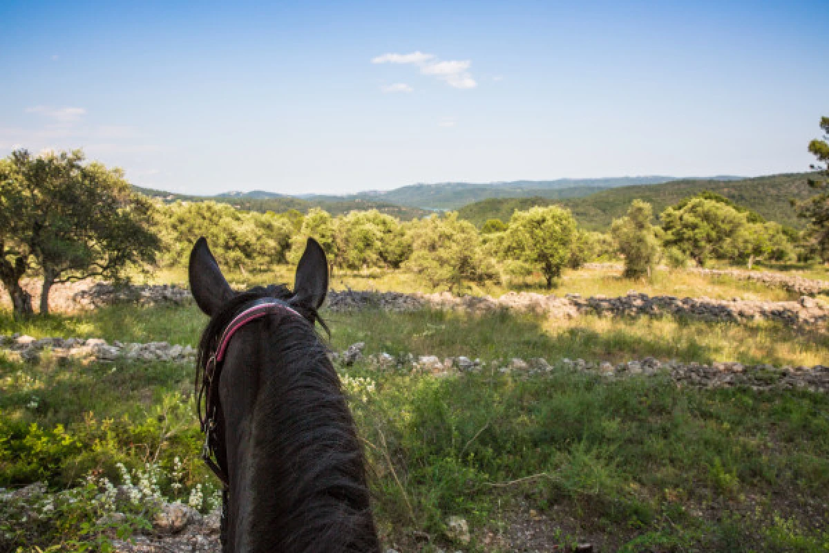 Journée détente à cheval ou poney au lac - Expérience Côte d'Azur