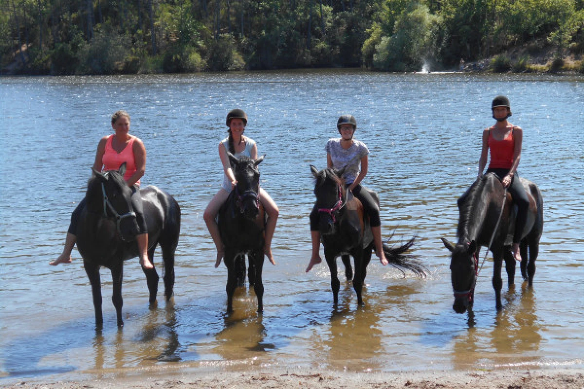 Journée détente à cheval ou poney au lac - Expérience Côte d'Azur