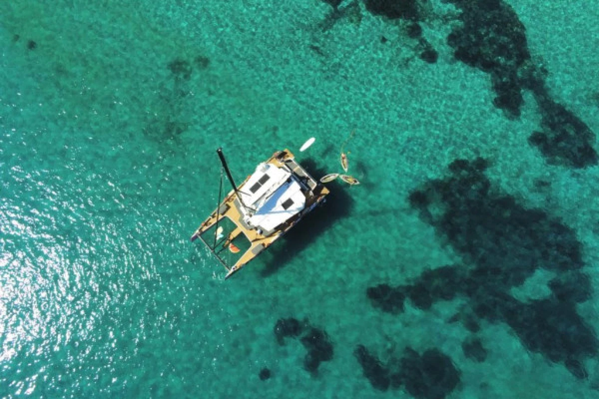 Journée en catamaran à Cap Taillat Départ Cogolin - PROMO - Expérience Côte d'Azur
