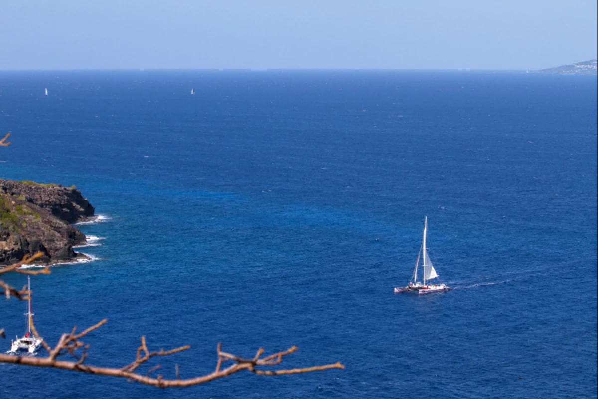 Journée en catamaran à Cap Taillat Départ Pampelonne - PROMO - Expérience Côte d'Azur