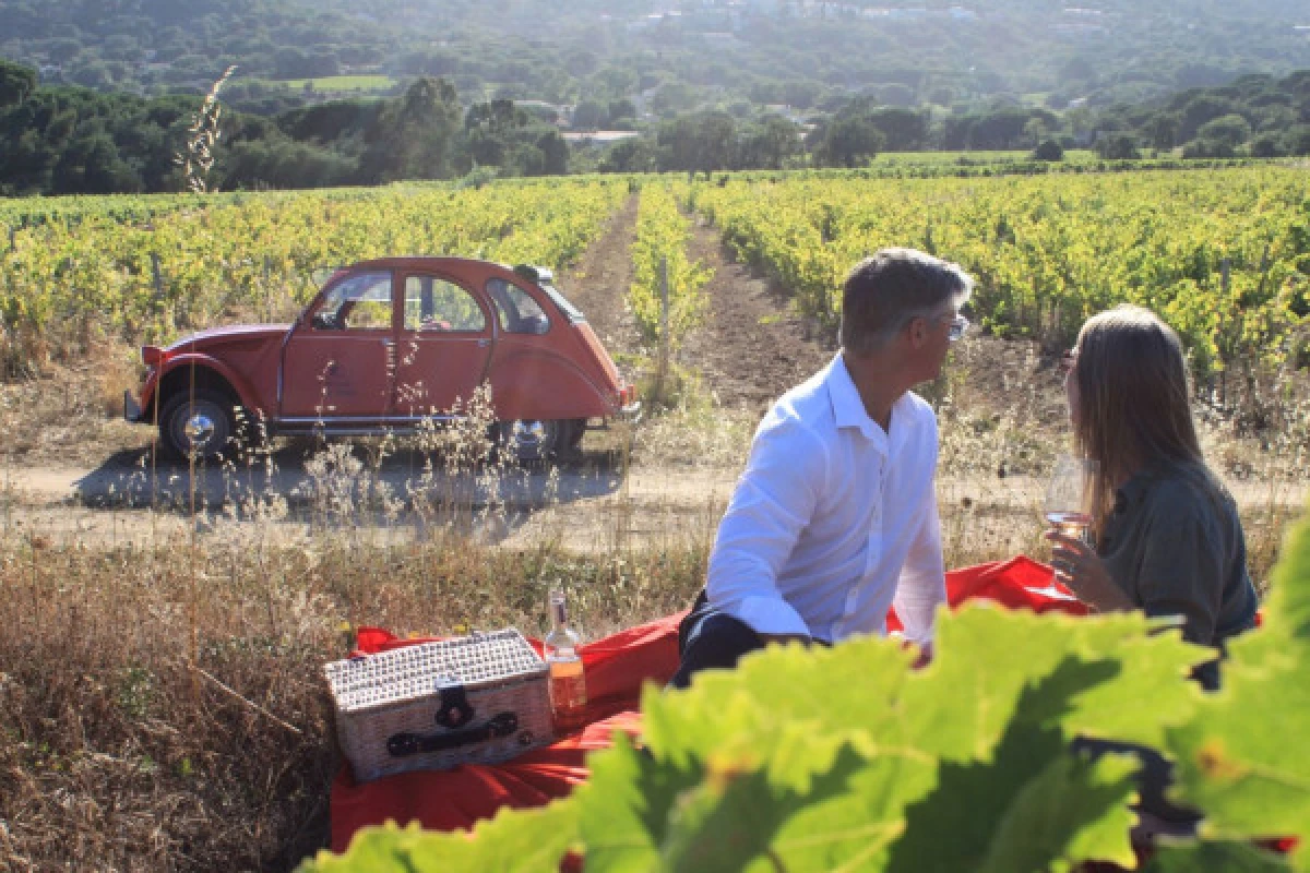 Journée gourmande - vignobles du Golfe de St-Tropez - Expérience Côte d'Azur