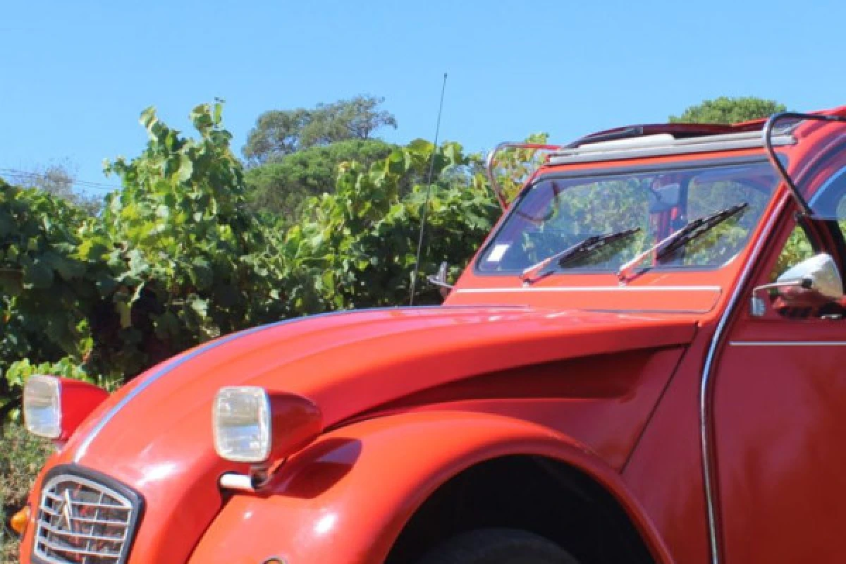 Journée Vintage vignobles du Golfe de Saint Tropez - Expérience Côte d'Azur