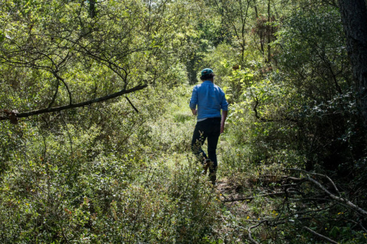 La balade biodiversité entre vigne et forêt - Expérience Côte d'Azur