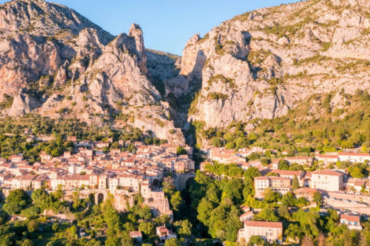 La Lavande à l'honneur au Plateau de Valensole - Expérience Côte d'Azur