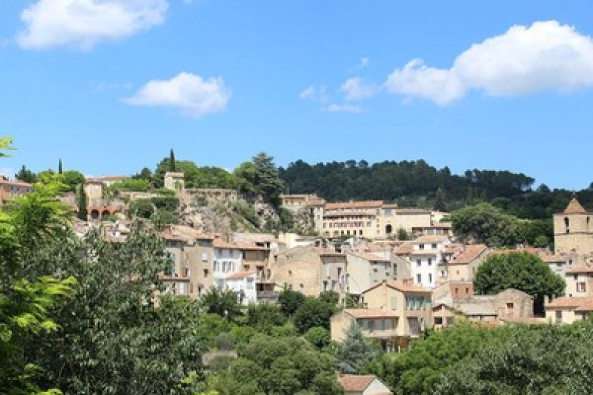 La Provence Verte - Expérience Côte d'Azur