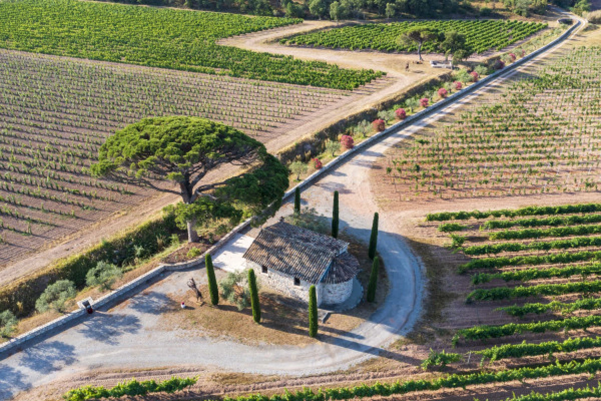 1/2 journée visite audio et pétanque au domaine du Clos des Roses - Expérience Côte d'Azur