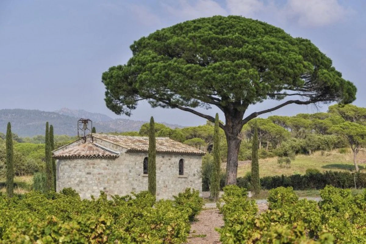 Le Clos des Roses - Visite guidée et dégustation - Expérience Côte d'Azur