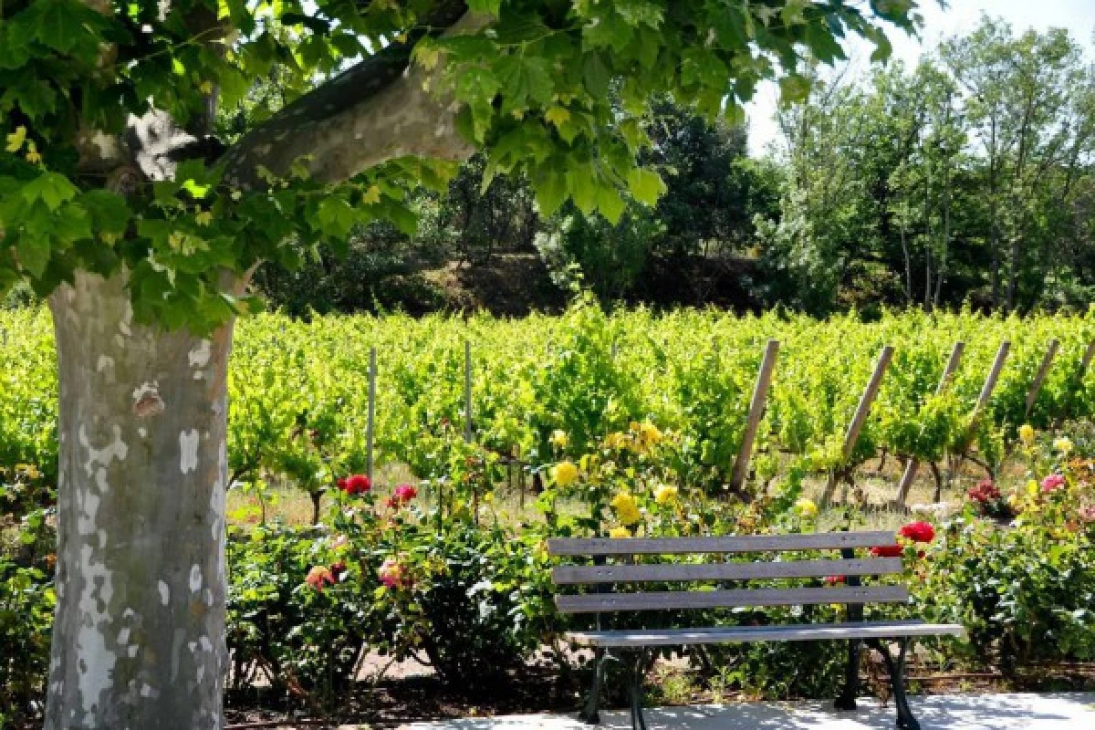 Le Clos des Roses - Visite guidée et dégustation - Expérience Côte d'Azur